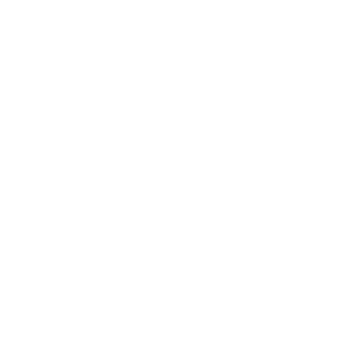 ic-sevice01